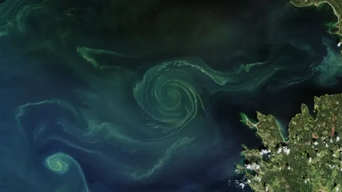 Огромную зеленую спираль заметили из космоса в Балтийском море