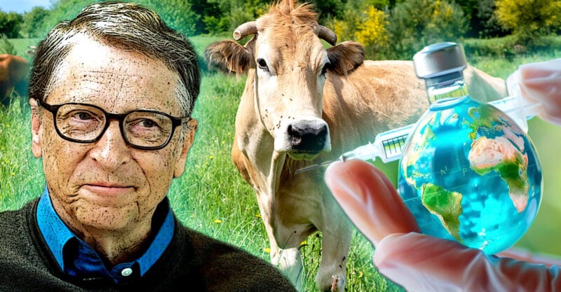 «Климатическая вакцина» в подарок человечеству от Билла Гейтса