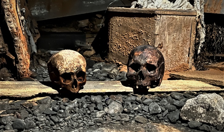 Тайна «вечных» мумий Дублина: как они пережили века и что их ждет дальше