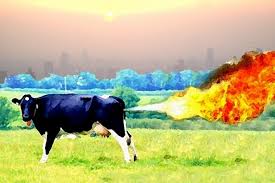 Казахстанцев заставляют платить за дождь, а Дания начнёт взимать с фермеров по 100 евро за корову потому что они пукают