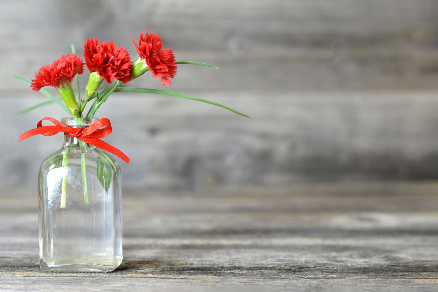 Гвоздика: Тайны и преимущества ароматного цветка