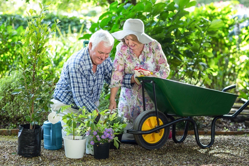 Занятие садоводством способствует сохранению умственных способностей в пожилом возрасте