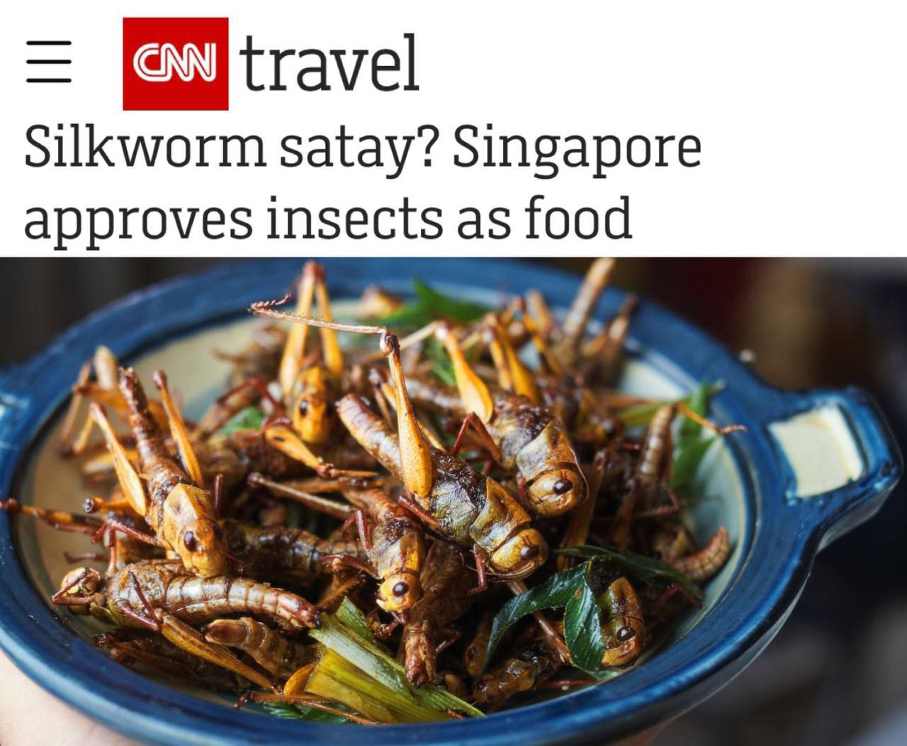 «Блюдо из шелкопряда? Сингапур одобряет насекомых в качестве еды»