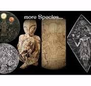 Новые археологические находки, меняющие наше представление о прошлом.