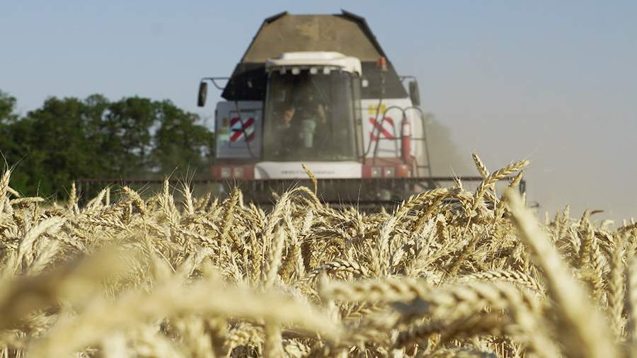 Волгоградская область собрала с начала года 3 млн т зерна