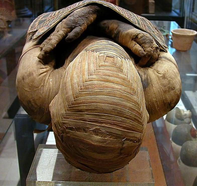Египетская мумия вблизи