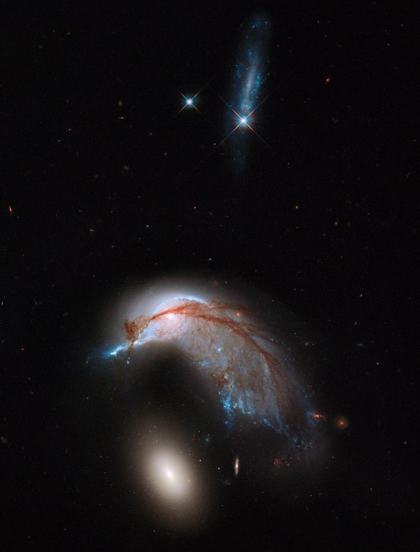Arp 142 — система из двух взаимодействующих галактик, которые вместе очень напоминают пингвина, высиживающего яйцо.