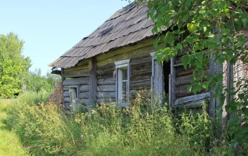 России требуется специальная демографическая операция