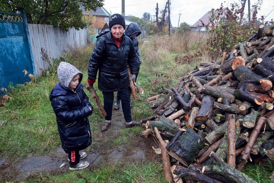 Украинцам пригрозили тюремным сроком за хранение дров без документов