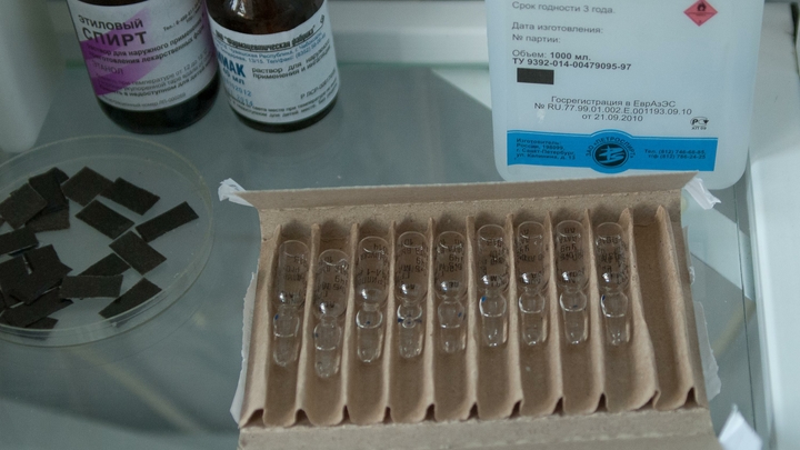 Кто устроил свалку вакцин в нижегородском лесу? Опасной находкой занялся Минздрав