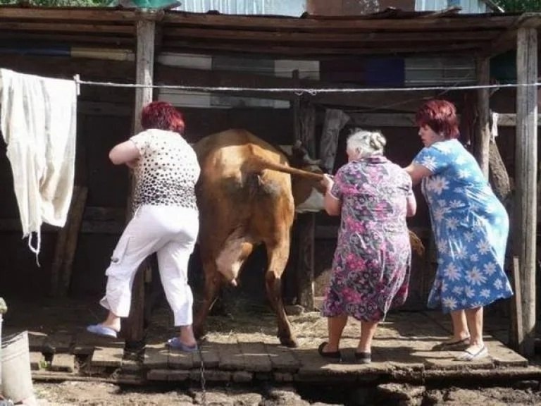 И не говорите, что в деревне скучно жить..