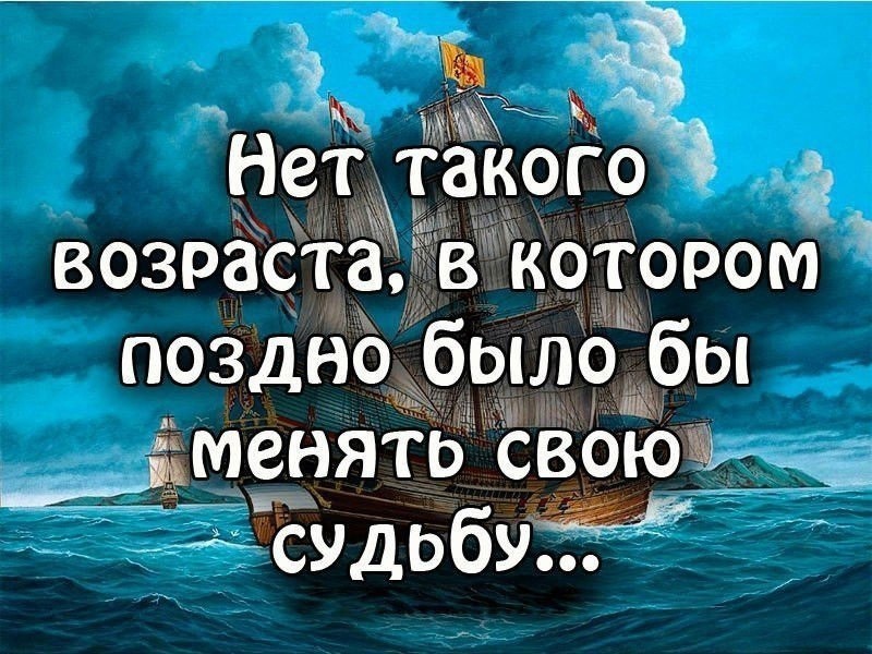 цитаты дня..