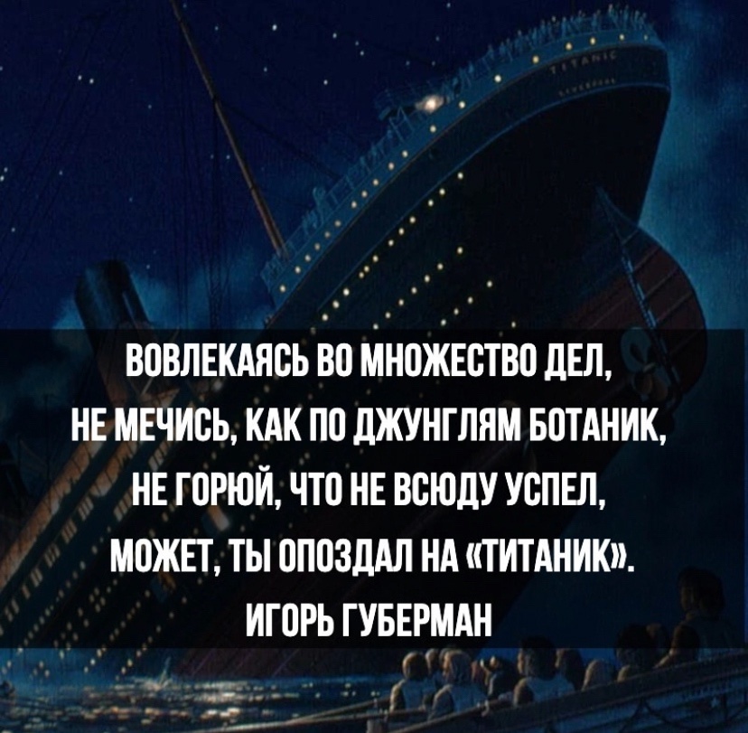 цитата дня..