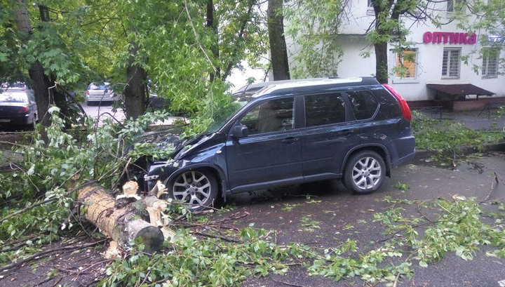 Стихия повалила в Москве почти сотню деревьев, повредив 20 машин
