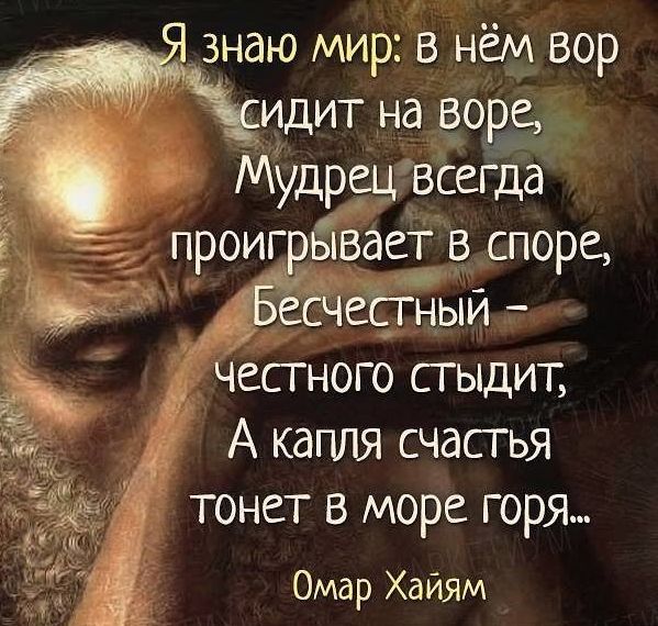 цитаты дня