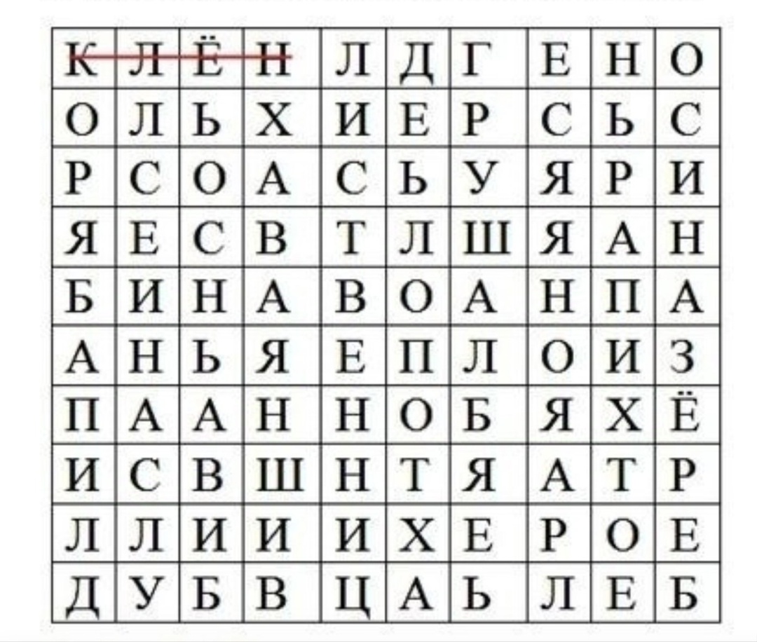напишем названия деревьев