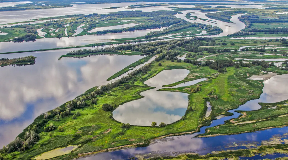 В какое море впадает русская Волга