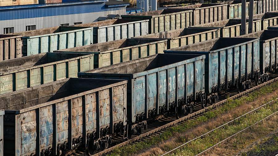 В Подмосковье двух студентов насмерть придавило трубами в грузовом поезде