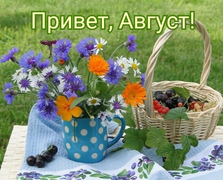 Здравствуй Август!
