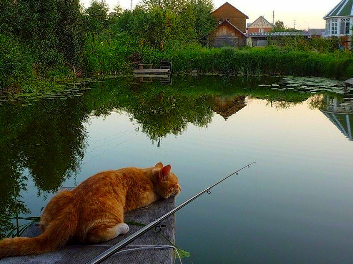 На рыбалку ходят не за рыбой, а за душевным покоем.