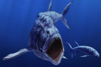 В Аргентине найдена окаменелость гигантской рыбы возрастом 70 миллионов лет