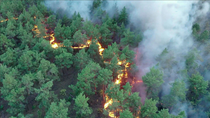 На перевале Дятлова локализован крупный лесной пожар