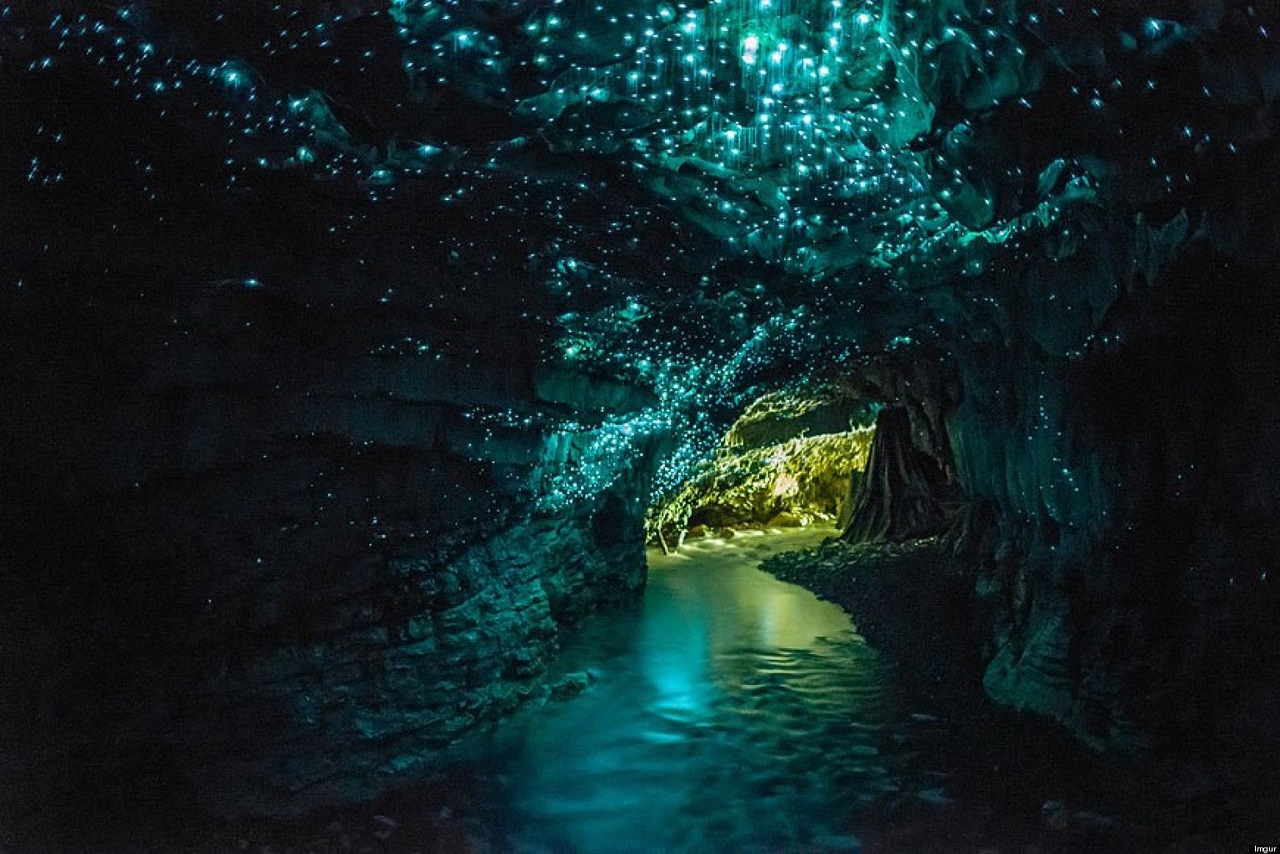 пещеры светлячков