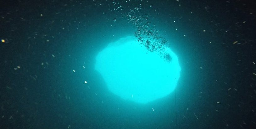Ученые отправляются исследовать таинственную «голубую дыру», у побережья Флориды