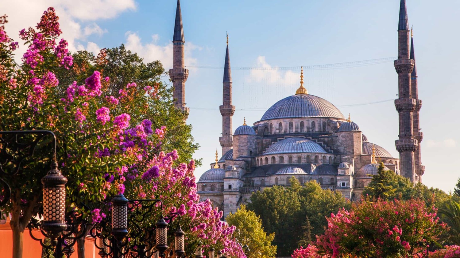 Турция зазывает туристов отменой почти всех норм безопасности в связи с коронавирусом