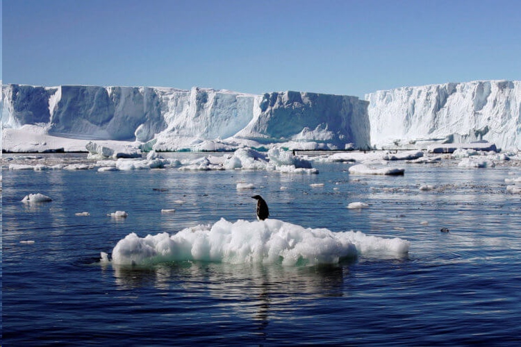 Ученые заявляют, что к 2030 году человечество ждет малый ледниковый период