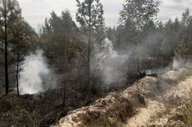 На Чукотке площадь природных пожаров превысила 60 тысяч га