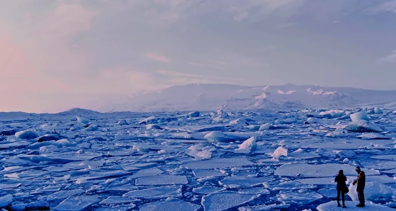 В водах Арктики обнаружили «вечные» химические вещества