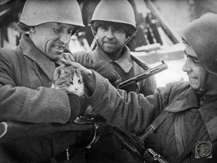Советские бойцы с котиком на руках в Сталинграде.