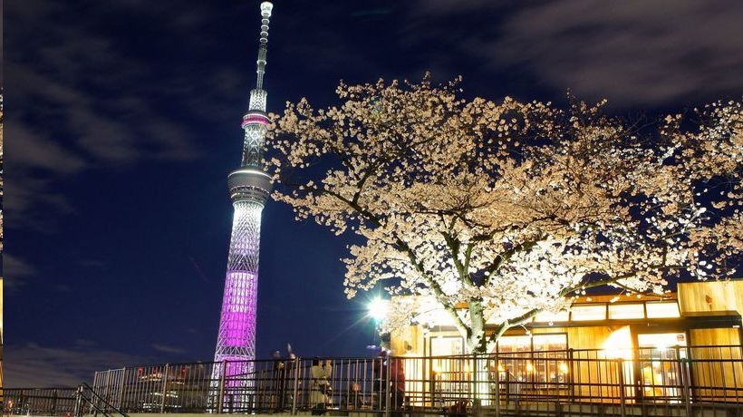 Секрет Токийской телебашни высотой 634 метра — как она противостоит землетрясениям