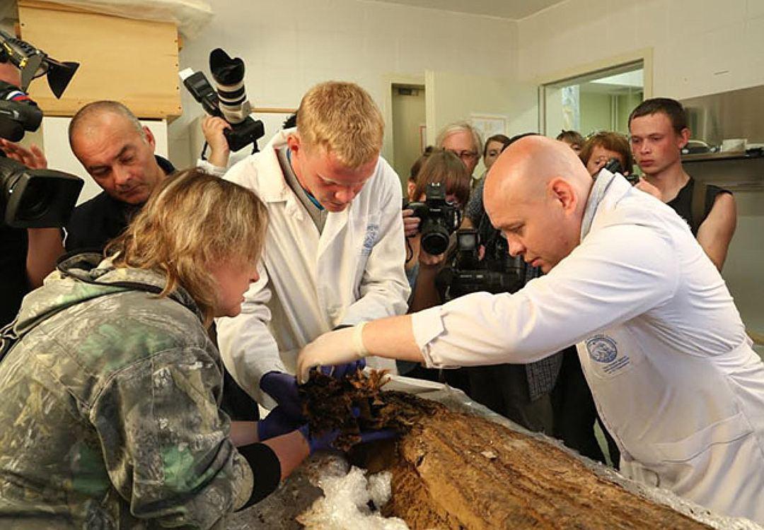 В вечной мерзлоте найдены мумии представителей таинственной арктической цивилизации