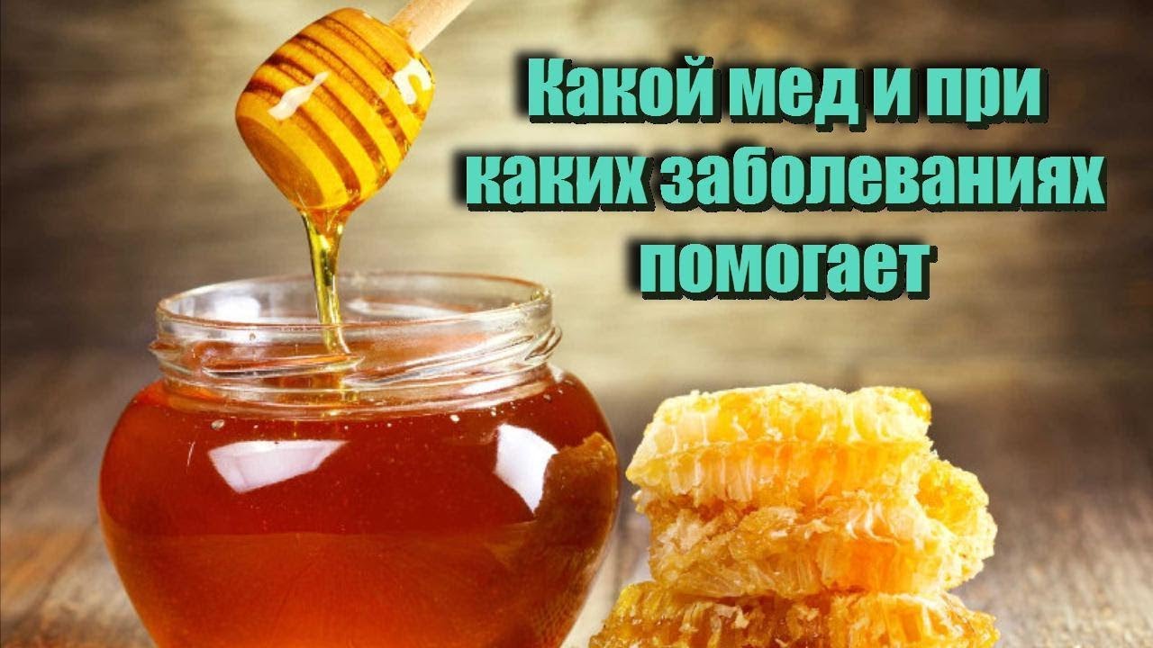 Какой мед и при каких заболеваниях помогает Свойства и виды меда Полезные советы для здоровья