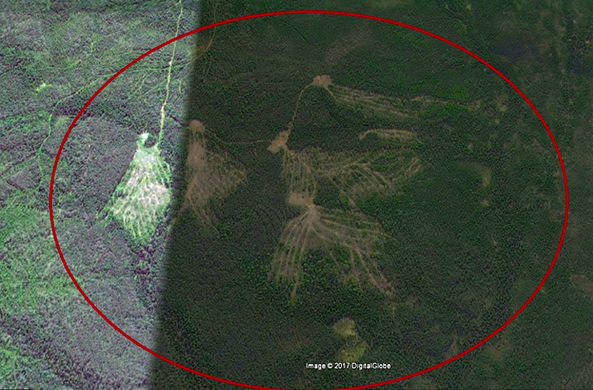 Рядом с перевалом Дятлова обнаружены гигантские древние знаки