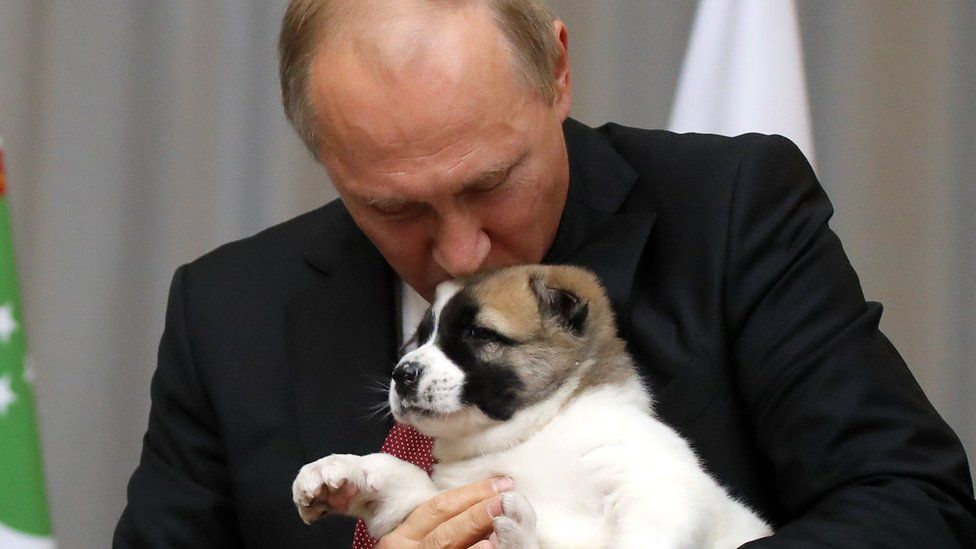 Владимир Путин и его зоопарк