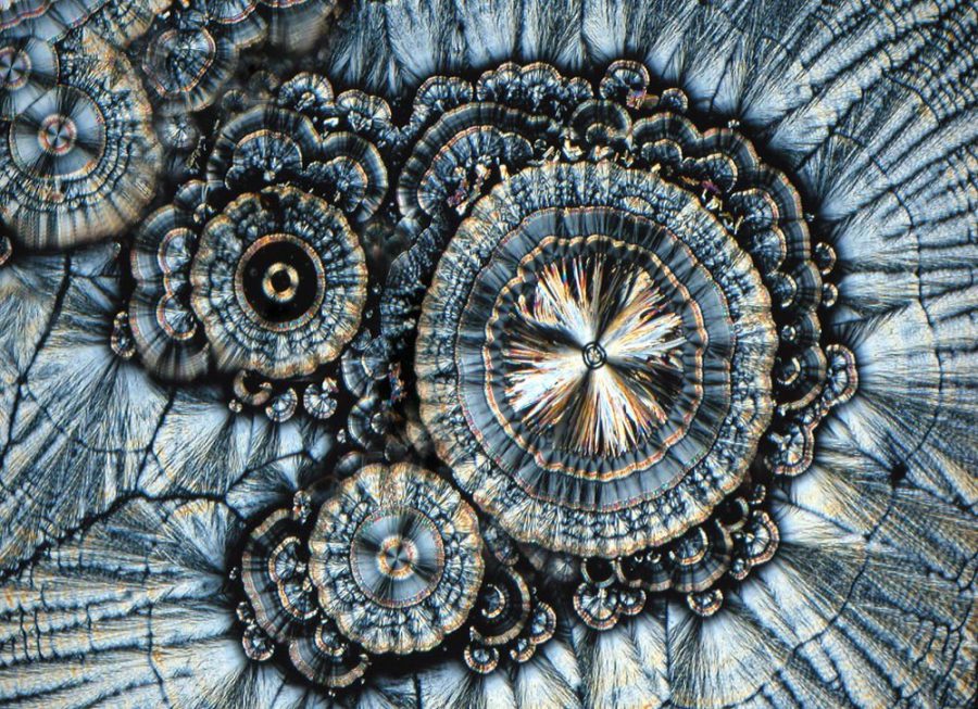 Красота витамина C под микроскопом
