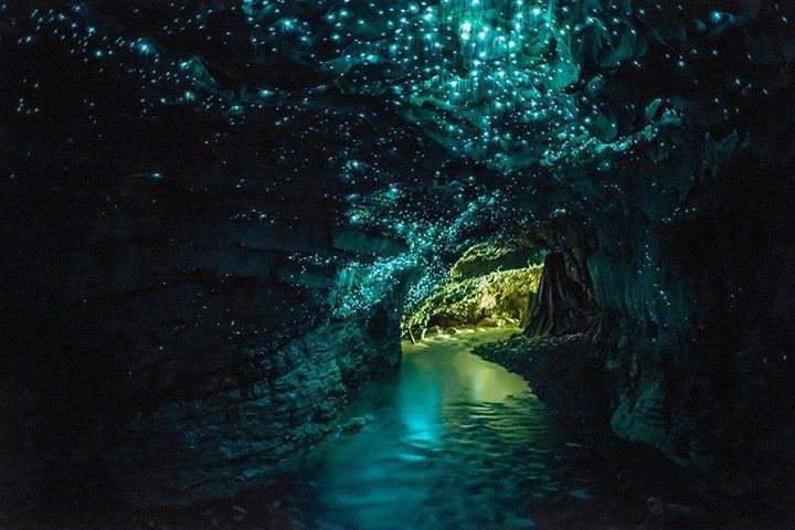Вайтомо — пещера светлячков в Новой Зеландии
