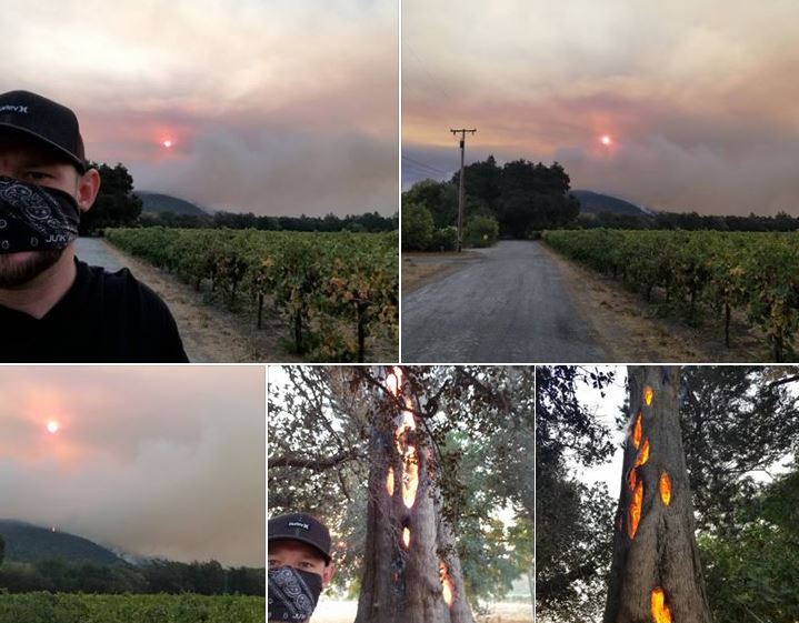 Пожары в Калифорнии вызваны духами – деревья горят изнутри