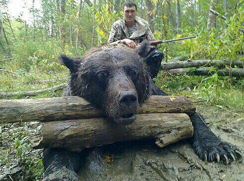 Жители Коми в панике: в сети распространяется информация о медведе-убийце