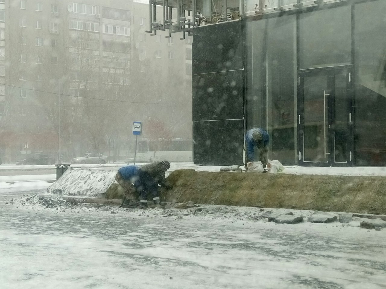 Умом Россию не понять: В Тюмени в снегопад красят заборы, кладут асфальт и газоны