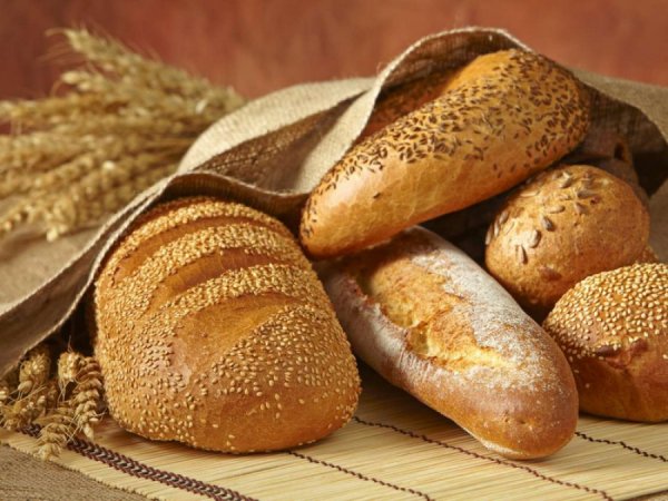 Хлебный бунт в Петербурге сорвался из-за устаревших методичек