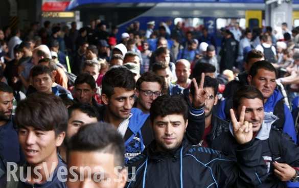 Распадающаяся Европа: «беженцы» приехали в ЕС навсегда (ВИДЕО)
