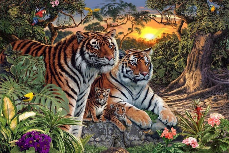 Весь интернет считает и спорит: «Сколько тигров на картинке?»