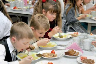 Процент внебюджетных средств на социальное питание в новосибирских школах в два раза ниже, чем по России