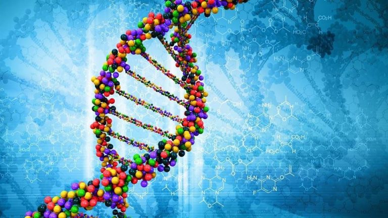 Удивительные вещи : Грегг Брейден о трех экспериментах с ДНК
