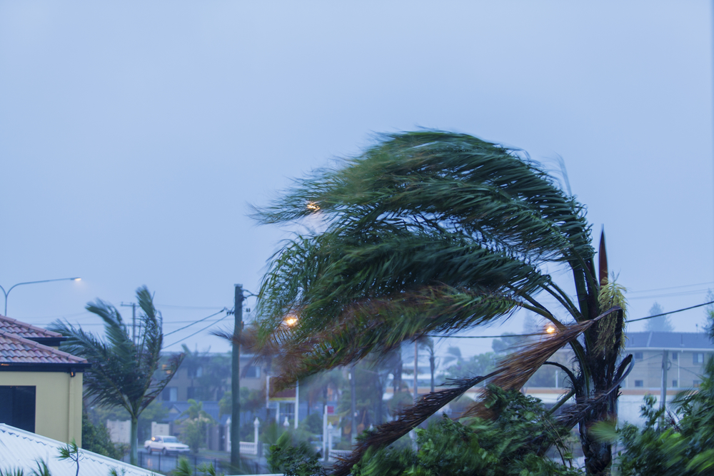 Трагическое эхо урагана «Мария»