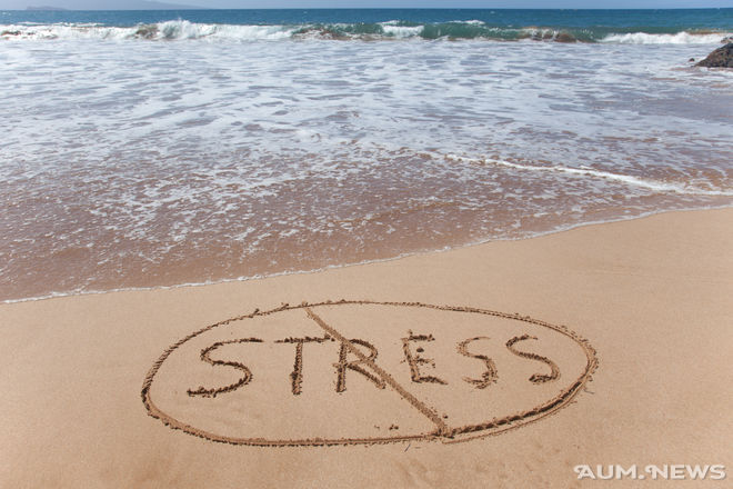 Стресс загрязняет мозг и содействует старению
